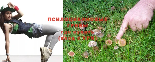 трава Горняк